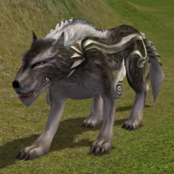 Lycos